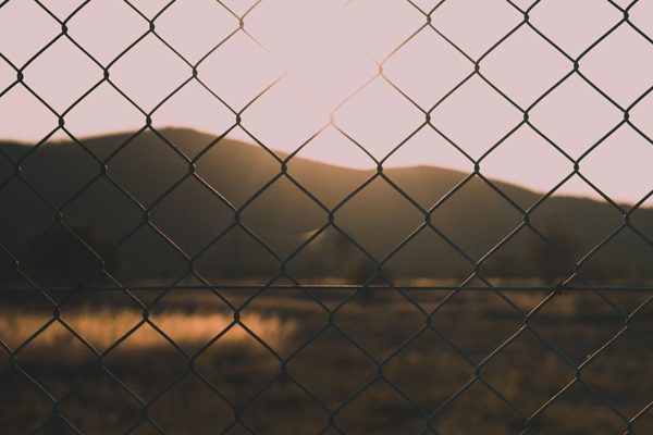 chainlink