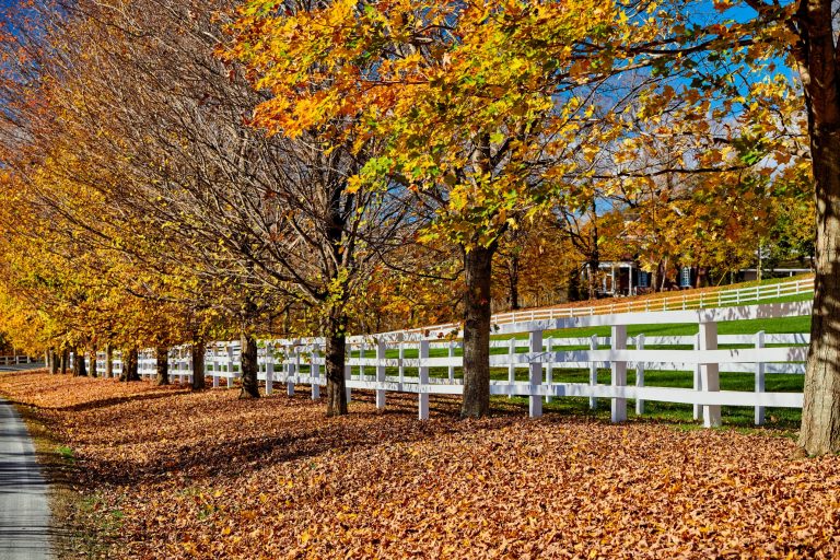 Highway at autumn day, Vermont, USA.