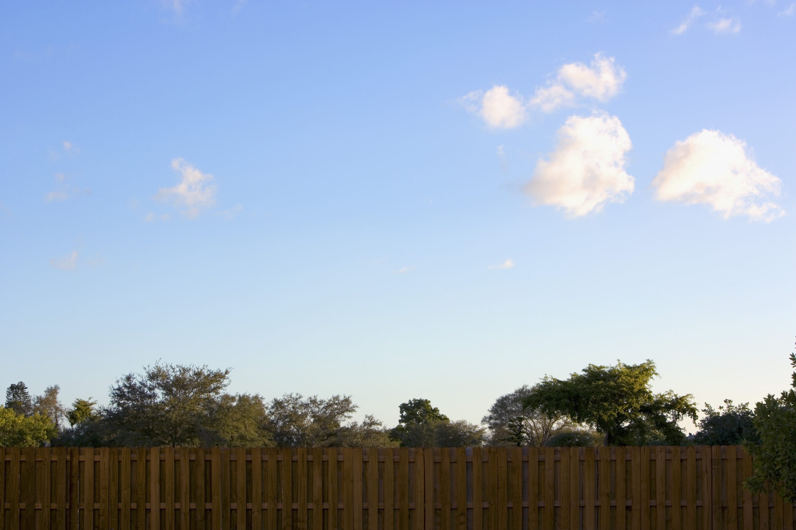 Sharing a Fence With Your Neighbors: Fence Etiquette Tips