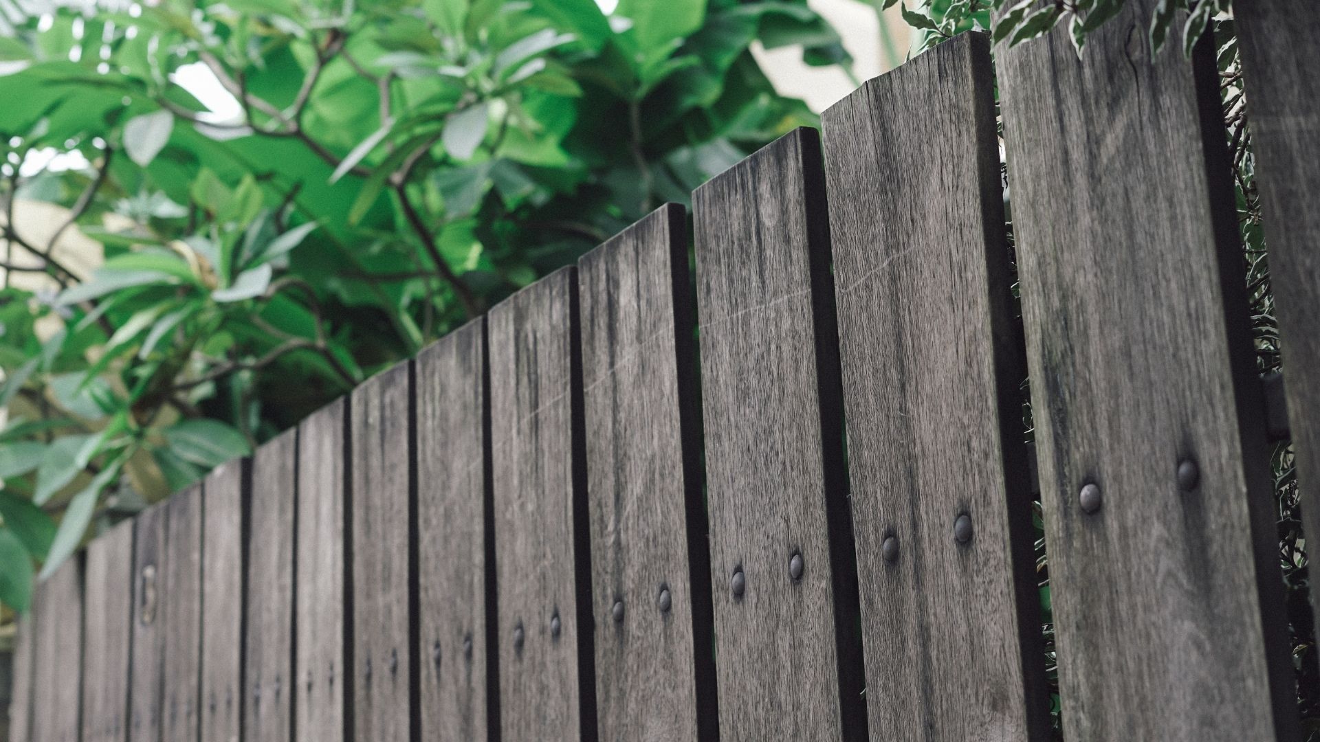 What to expect with wood - Fence All