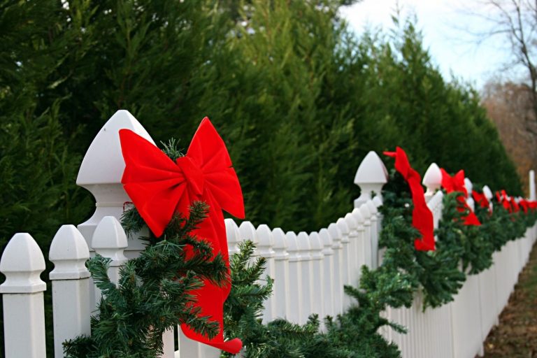 CF- Christmas Decorations