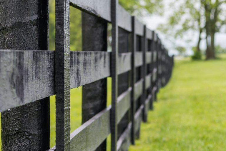 CF- Pros and Cons of a Black Fence