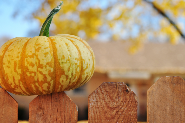 Decorating Fence for Fall