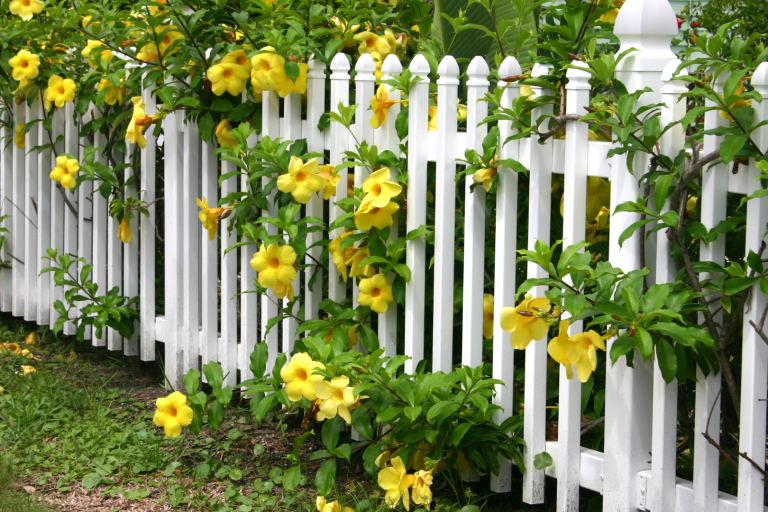 CF- Summer Tips preparing your fence for summer