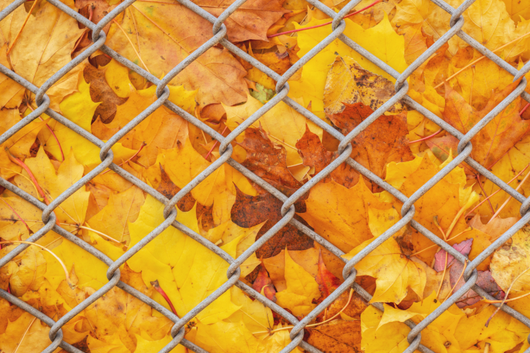 CF- Seasonal Fence Installation Considerations seasonal fence installation