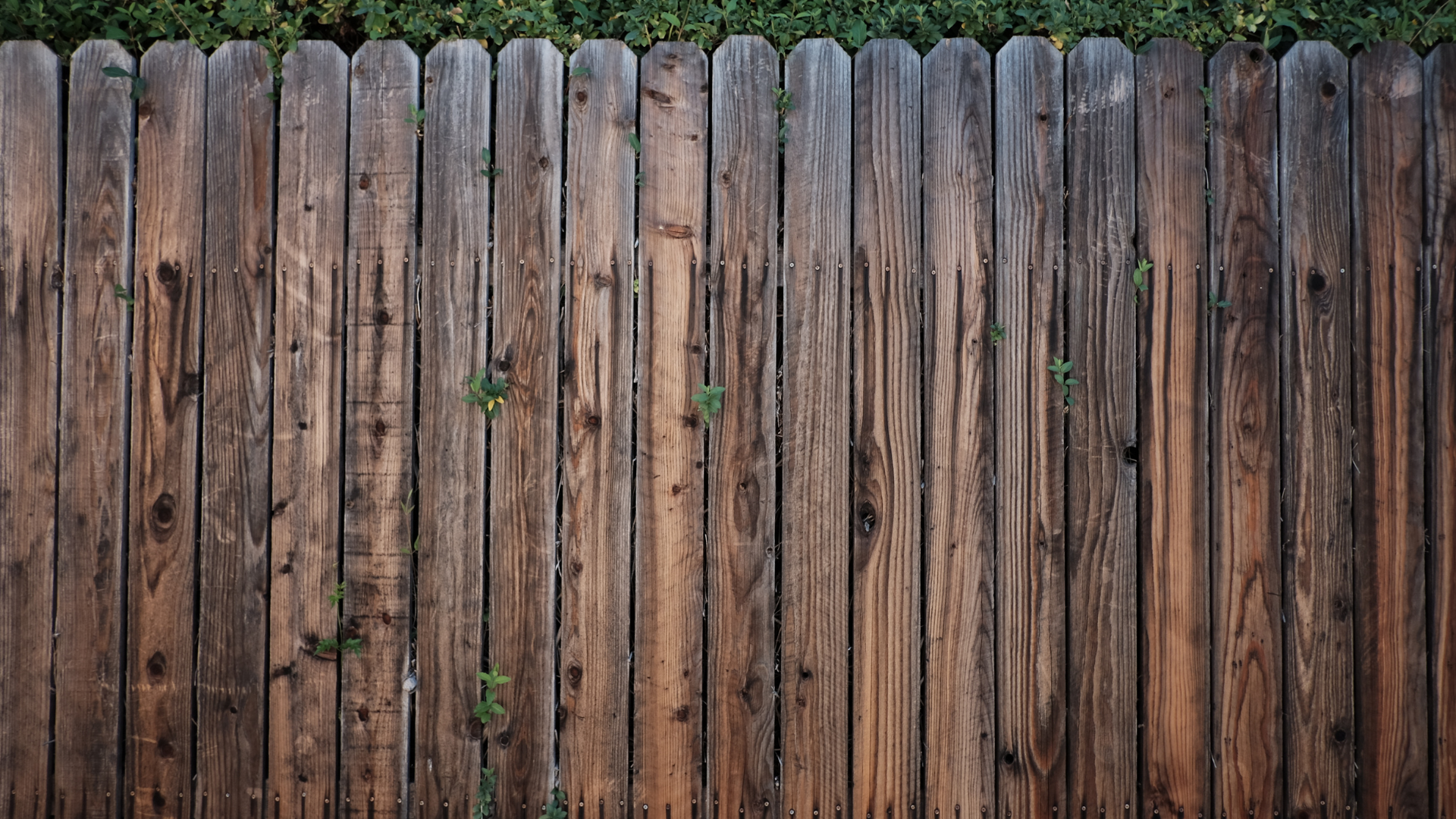 Wood Fence, Fence Installation, Repair, Replacement