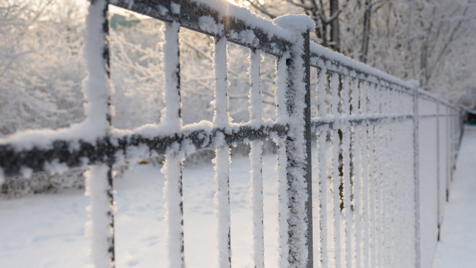winter fence