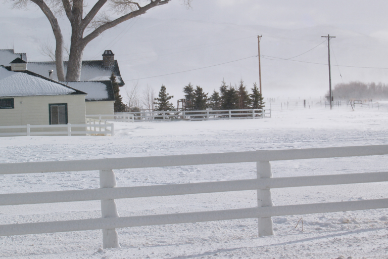 CF- Winter Curb Appeal winter