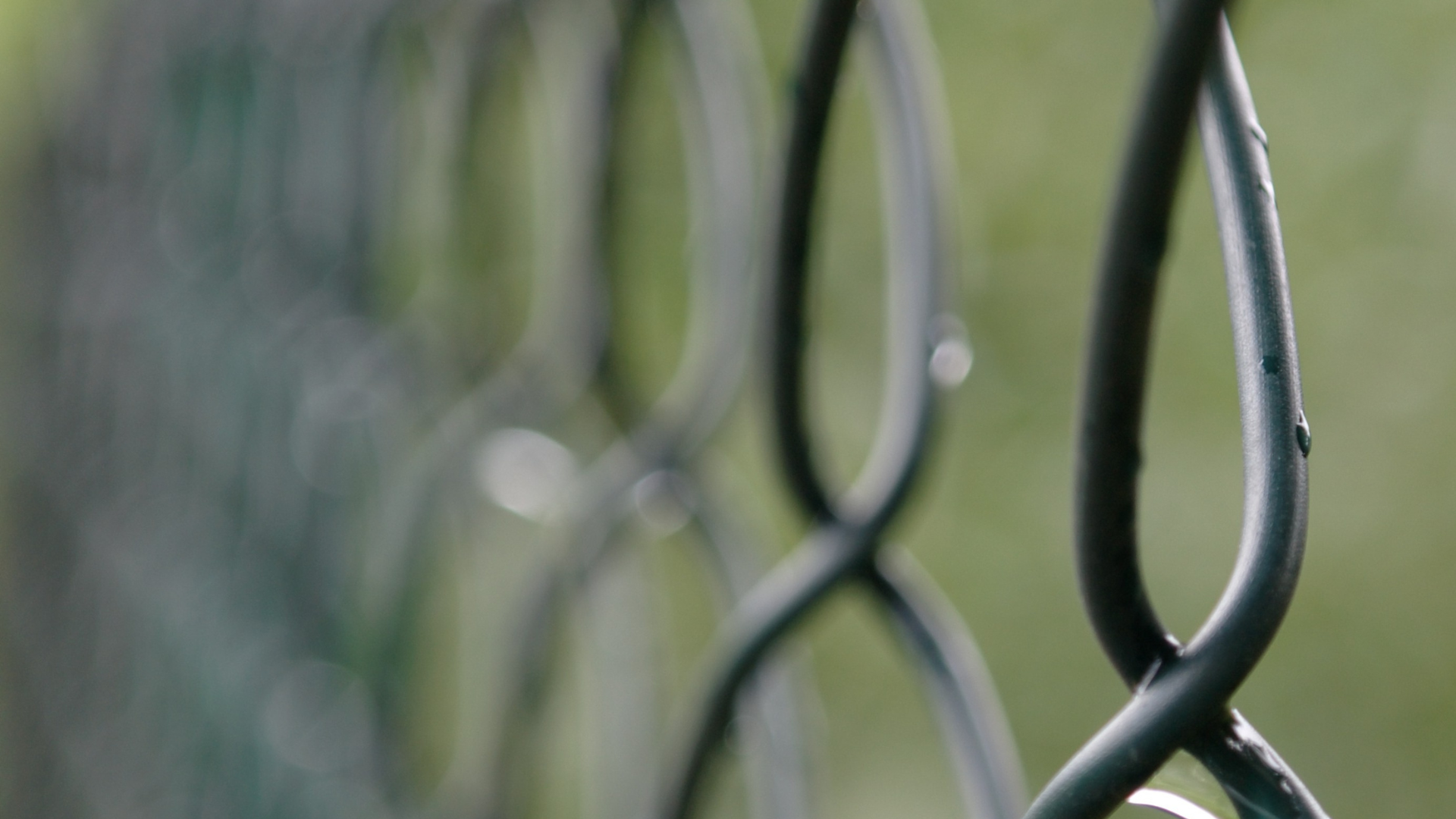 chain link in spring storms