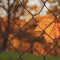 fall fence