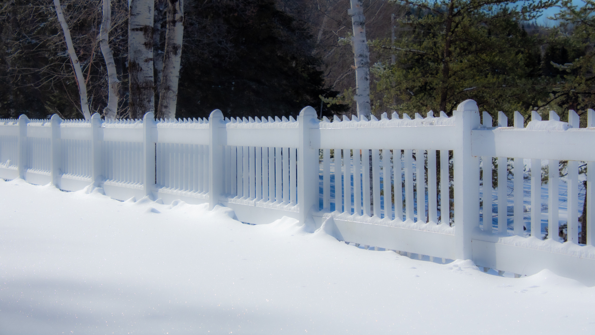 vinyl fence