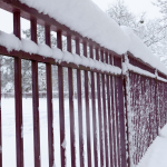 low-maintenance fence