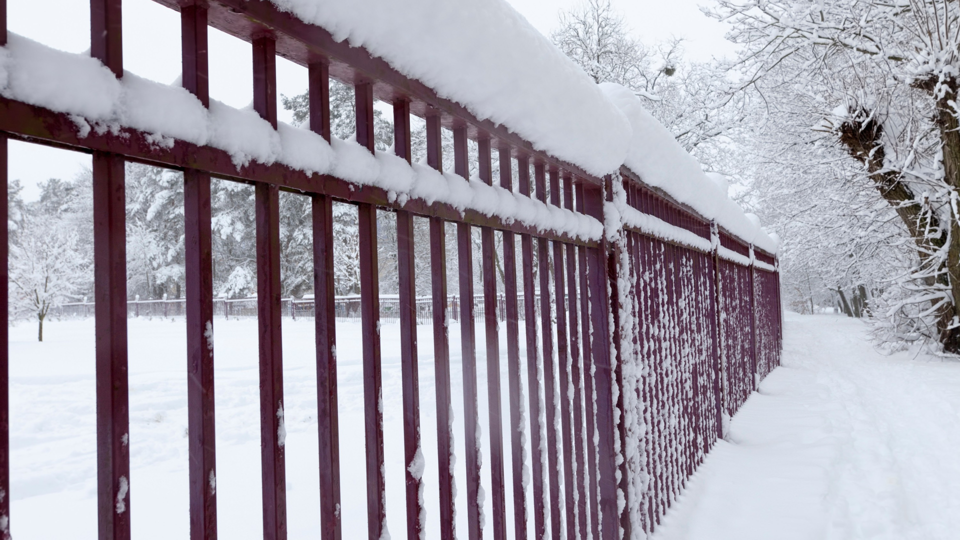low-maintenance fence
