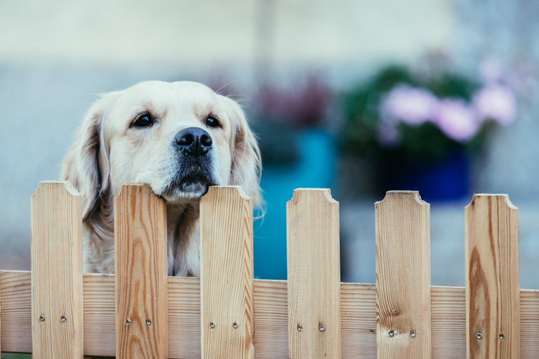 CF- Safety First secure