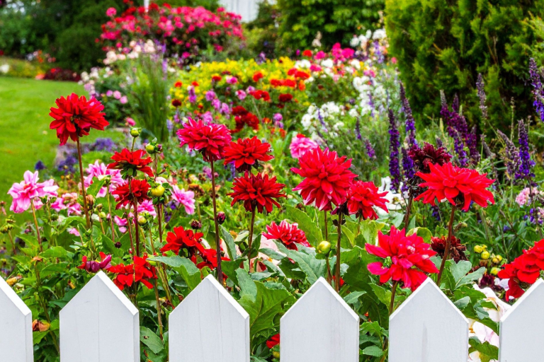 CF- Spring Gardening and Fencing spring landscaping