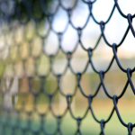 low maintenance fence