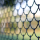 low maintenance fence