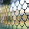 low maintenance fence