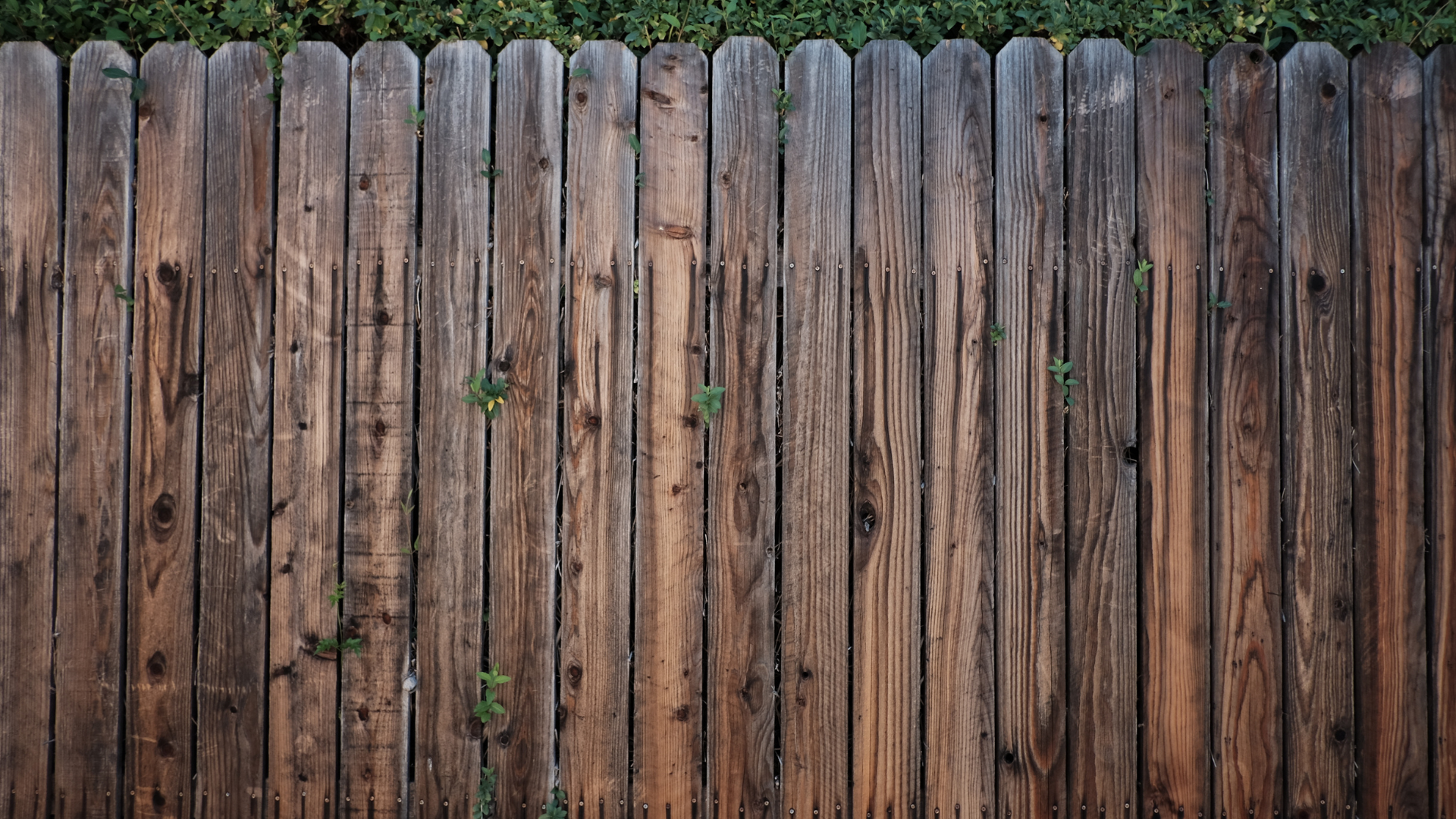 wooden fence