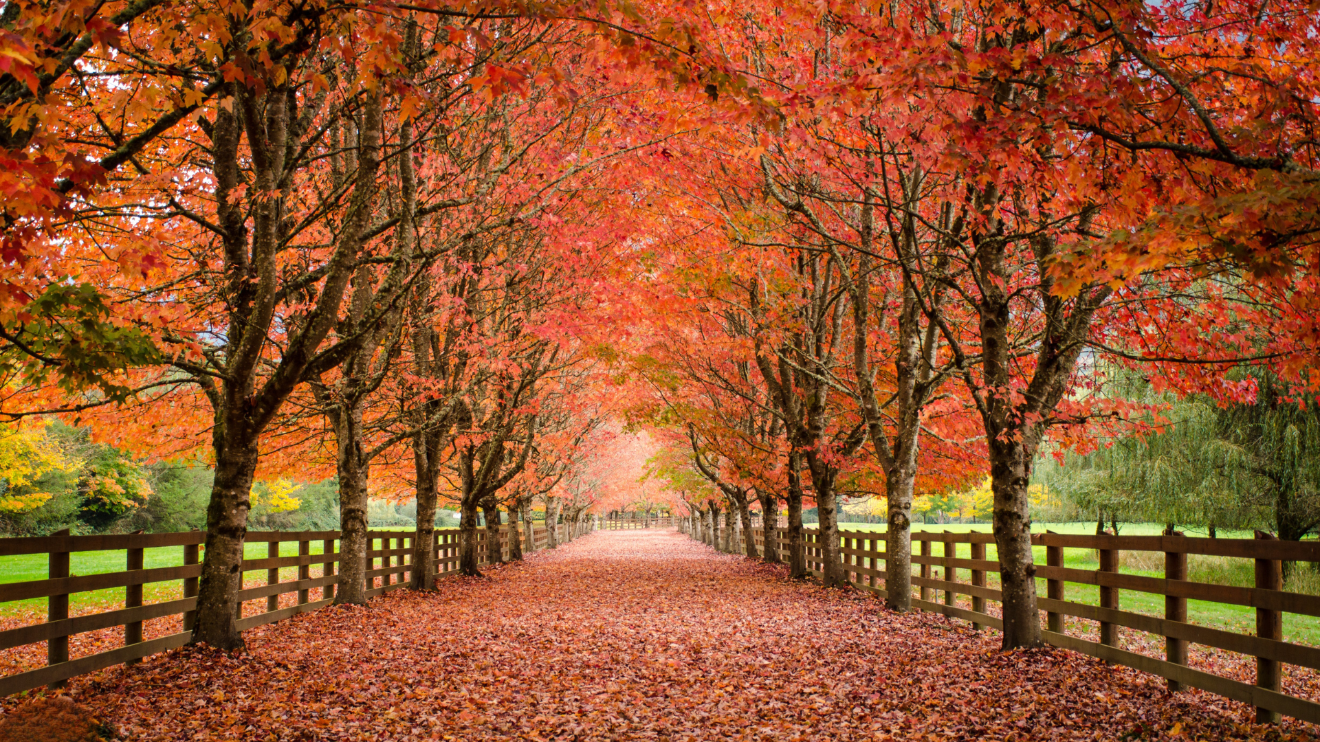 fall fence installation
